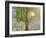 Morning Has Broken-Blenda Tyvoll-Framed Giclee Print