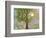 Morning Has Broken-Blenda Tyvoll-Framed Giclee Print