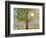 Morning Has Broken-Blenda Tyvoll-Framed Giclee Print