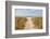 Morning Has Broken-Mary Lou Johnson-Framed Photo