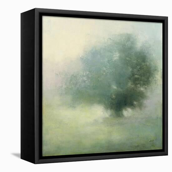 Morning Haze-Julia Purinton-Framed Stretched Canvas