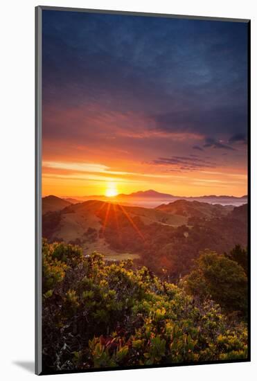 Morning Heaven Sunrise Bay Area Hills Mount Diablo Oakland-Vincent James-Mounted Photographic Print