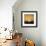 Morning Hopes-Antoni Amat-Framed Giclee Print displayed on a wall