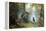 Morning in a Pine Forest, 1889-Iwan Iwanowitsch Schischkin-Framed Premier Image Canvas