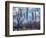 Morning in Central Park-Marco Carmassi-Framed Photographic Print