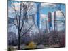 Morning in Central Park-Marco Carmassi-Mounted Photographic Print