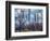 Morning in Central Park-Marco Carmassi-Framed Photographic Print