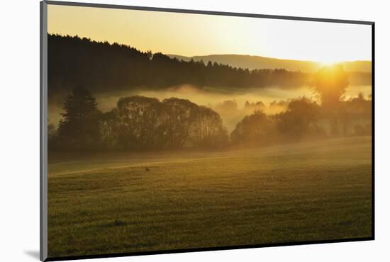 Morning in Neckartal (Neckar Valley), Near Villingen-Schwenningen, Schwarzwald-Baar, Germany-Jochen Schlenker-Mounted Photographic Print