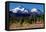 Morning in Shasta-Douglas Taylor-Framed Premier Image Canvas