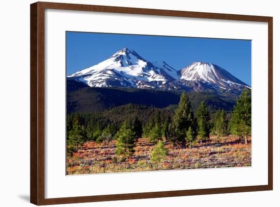 Morning in Shasta-Douglas Taylor-Framed Photographic Print