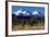 Morning in Shasta-Douglas Taylor-Framed Photographic Print