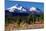 Morning in Shasta-Douglas Taylor-Mounted Photographic Print