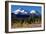 Morning in Shasta-Douglas Taylor-Framed Photographic Print