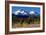 Morning in Shasta-Douglas Taylor-Framed Photographic Print