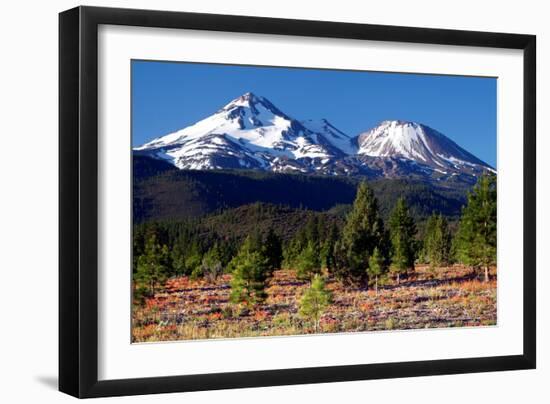 Morning in Shasta-Douglas Taylor-Framed Photographic Print