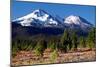 Morning in Shasta-Douglas Taylor-Mounted Photographic Print