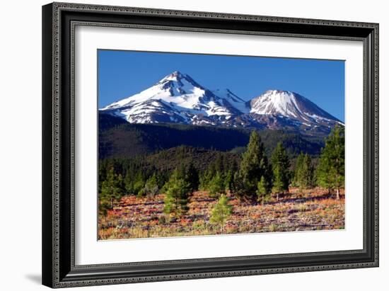 Morning in Shasta-Douglas Taylor-Framed Photographic Print