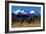 Morning in Shasta-Douglas Taylor-Framed Photographic Print