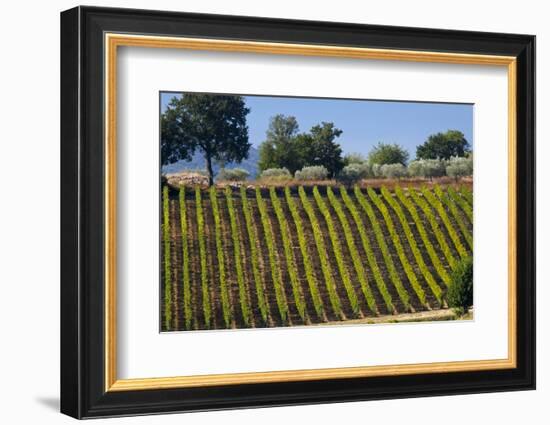 Morning in the Umbrian Town of Todi-Terry Eggers-Framed Photographic Print