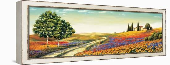 Morning in the Valley-Richard Leblanc-Framed Stretched Canvas