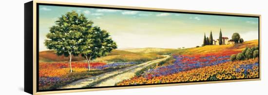 Morning in the Valley-Richard Leblanc-Framed Stretched Canvas