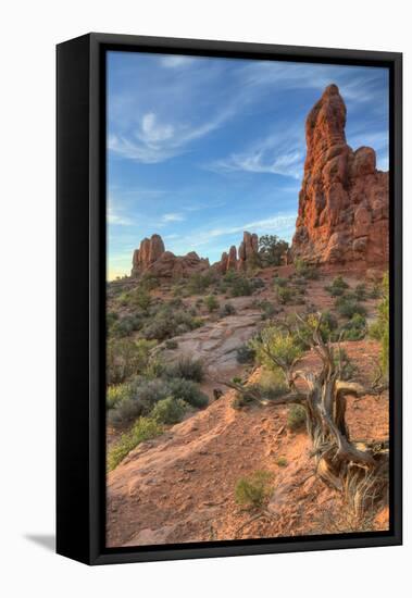 Morning Light and Sandstone at Arches, Utah-Vincent James-Framed Premier Image Canvas