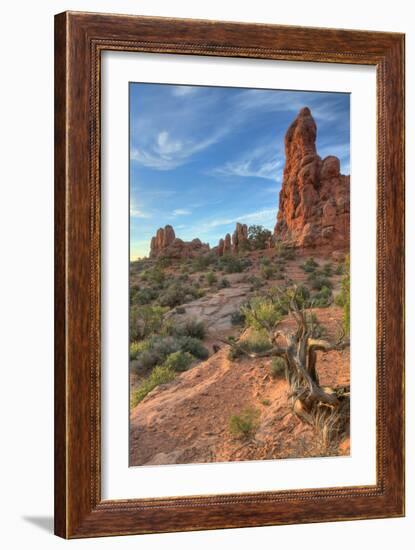 Morning Light and Sandstone at Arches, Utah-Vincent James-Framed Photographic Print