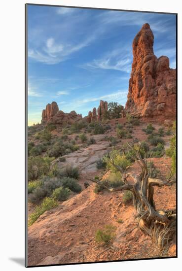 Morning Light and Sandstone at Arches, Utah-Vincent James-Mounted Photographic Print