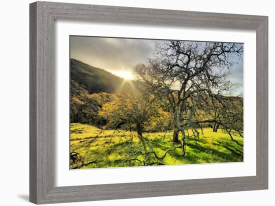 Morning Light at Mount Diablo, Walnut Creek, Danville, Contra Costa-Vincent James-Framed Photographic Print