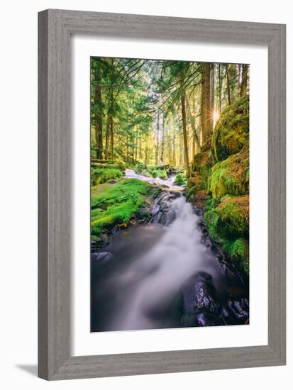 Morning Light at Panther Creek, Columbia River Gorge, Washington-Vincent James-Framed Photographic Print