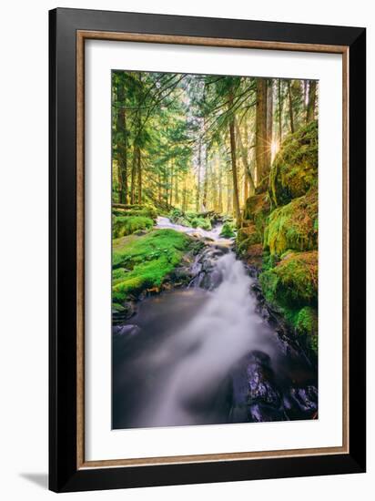 Morning Light at Panther Creek, Columbia River Gorge, Washington-Vincent James-Framed Photographic Print