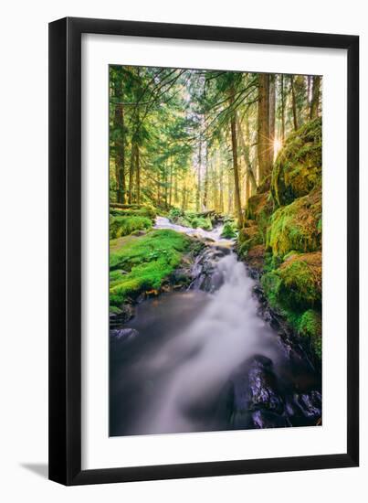 Morning Light at Panther Creek, Columbia River Gorge, Washington-Vincent James-Framed Photographic Print