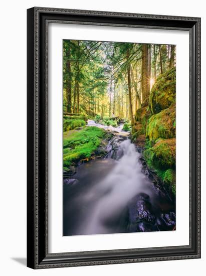 Morning Light at Panther Creek, Columbia River Gorge, Washington-Vincent James-Framed Photographic Print