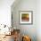 Morning Light I-Patricia Pinto-Framed Premium Giclee Print displayed on a wall