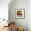 Morning Light I-Patricia Pinto-Framed Premium Giclee Print displayed on a wall