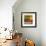 Morning Light I-Patricia Pinto-Framed Premium Giclee Print displayed on a wall