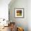 Morning Light II-Patricia Pinto-Framed Premium Giclee Print displayed on a wall