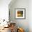 Morning Light II-Patricia Pinto-Framed Premium Giclee Print displayed on a wall