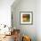 Morning Light II-Patricia Pinto-Framed Premium Giclee Print displayed on a wall