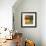 Morning Light II-Patricia Pinto-Framed Premium Giclee Print displayed on a wall