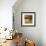 Morning Light II-Patricia Pinto-Framed Premium Giclee Print displayed on a wall