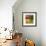 Morning Light II-Patricia Pinto-Framed Premium Giclee Print displayed on a wall