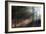 Morning Light in the Forest, Acadia, Maine-George Oze-Framed Photographic Print