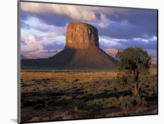 Morning Light, Monument Valley, Utah, USA-Joanne Wells-Mounted Photographic Print