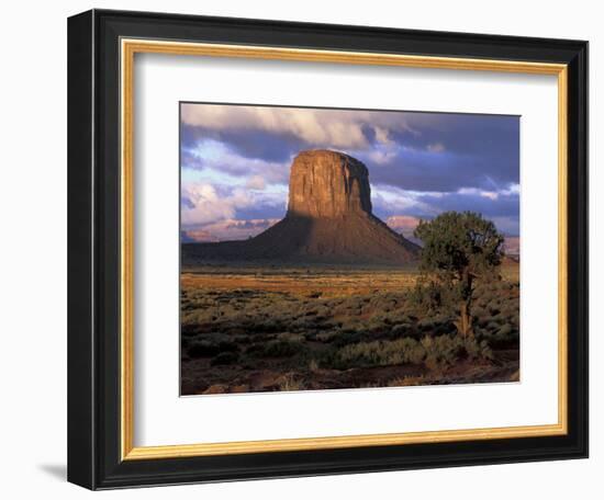 Morning Light, Monument Valley, Utah, USA-Joanne Wells-Framed Photographic Print