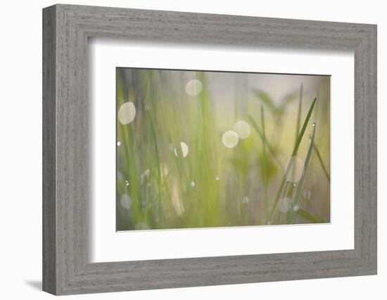 Morning Light No. 2-Ulpi Gonzalez-Framed Photographic Print