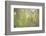 Morning Light No. 2-Ulpi Gonzalez-Framed Photographic Print