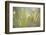 Morning Light No. 2-Ulpi Gonzalez-Framed Photographic Print