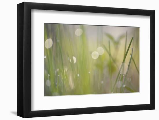 Morning Light No. 2-Ulpi Gonzalez-Framed Photographic Print