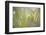 Morning Light No. 2-Ulpi Gonzalez-Framed Photographic Print